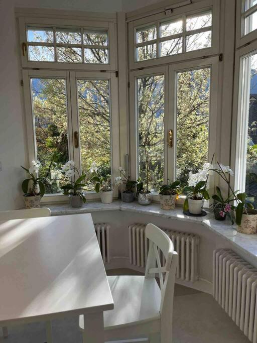Laurelia Suites Merano Esterno foto